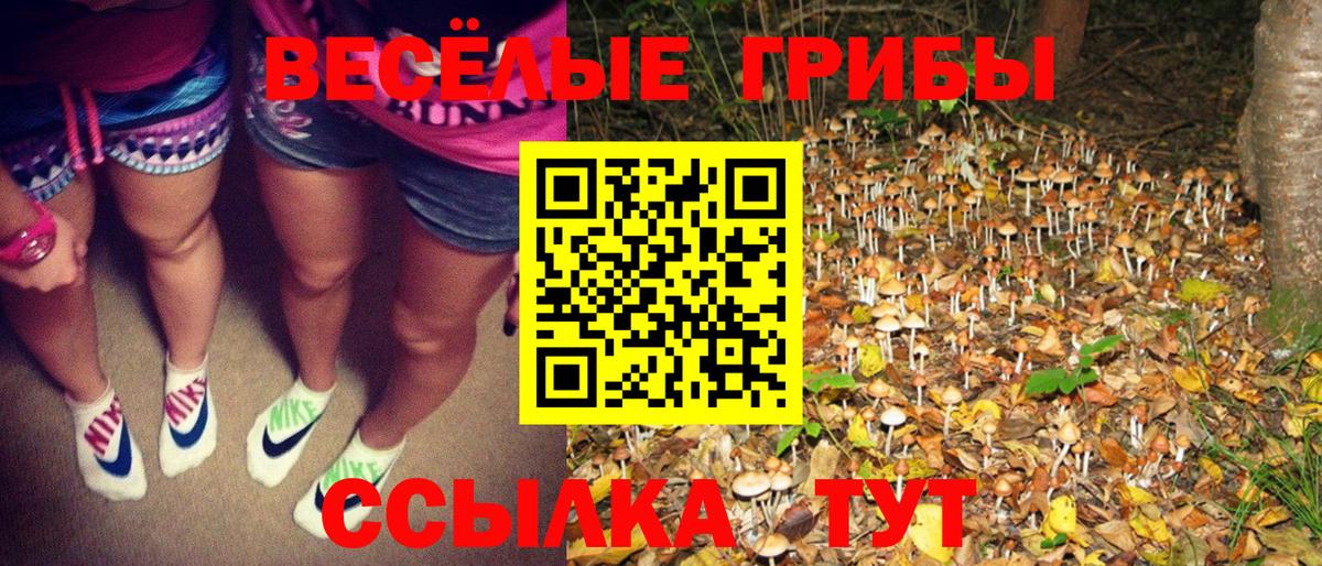 Галлюциногенные грибы ЛСД Дальнегорск