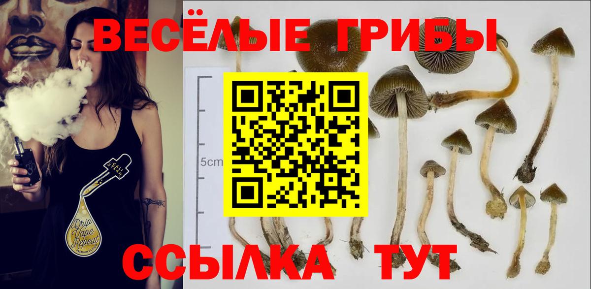 Галлюциногенные грибы Psilocybine cubensis  Вход с VPN  Дальнегорск 