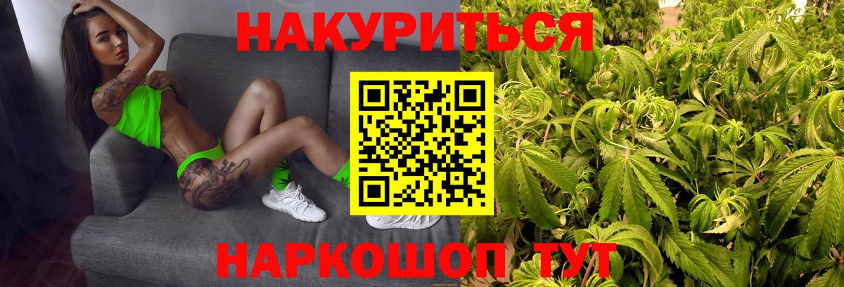 Шишки марихуана MAZAR  Конопля гибрид  Дальнегорск  Вход с VPN  Бошки марихуана семена 