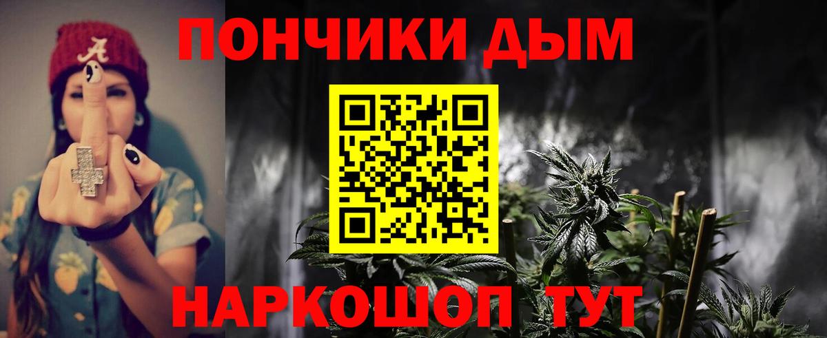 Канабис сатива Дальнегорск
